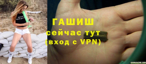 Альфа ПВП Инсар
