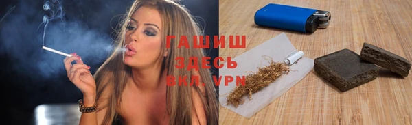Альфа ПВП Инсар