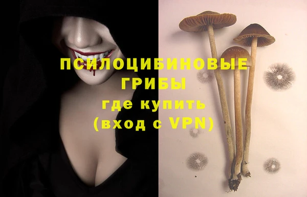Альфа ПВП Инсар