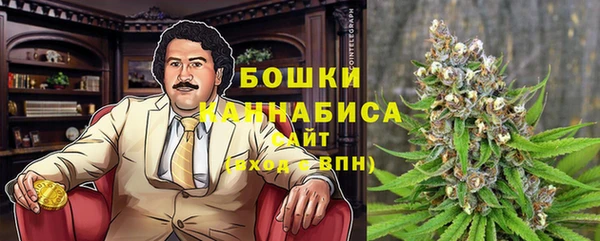 Альфа ПВП Инсар