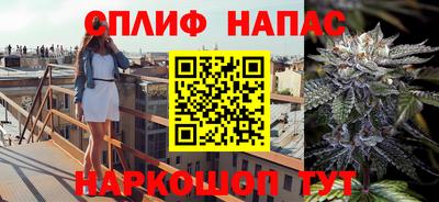 мяу мяу мука Гусь-Хрустальный