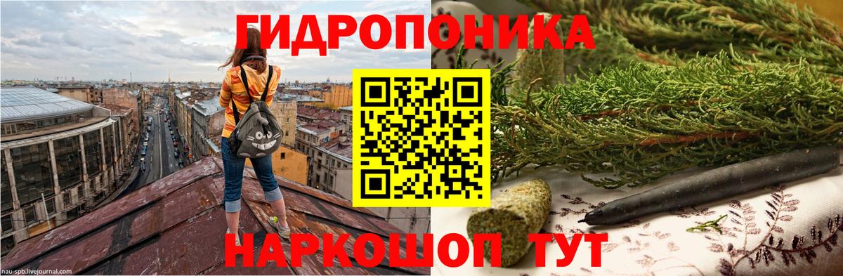 Славгород  Бошки марихуана индика  Бошки марихуана THC 21%  Бошки Шишки гибрид  Вход с VPN 